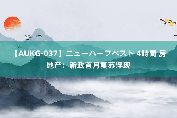 【AUKG-037】ニューハーフベスト 4時間 房地产：新政首月复苏浮现