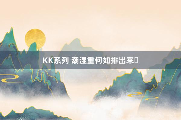 KK系列 潮湿重何如排出来❓