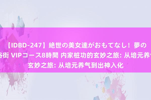 【IDBD-247】絶世の美女達がおもてなし！夢の桃源郷 IP風俗街 VIPコース8時間 内家桩功的玄妙之旅: 从培元养气到出神入化