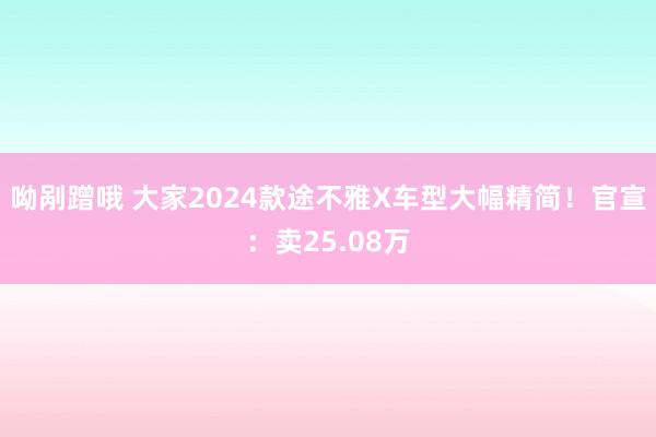 呦剐蹭哦 大家2024款途不雅X车型大幅精简！官宣：卖25.08万