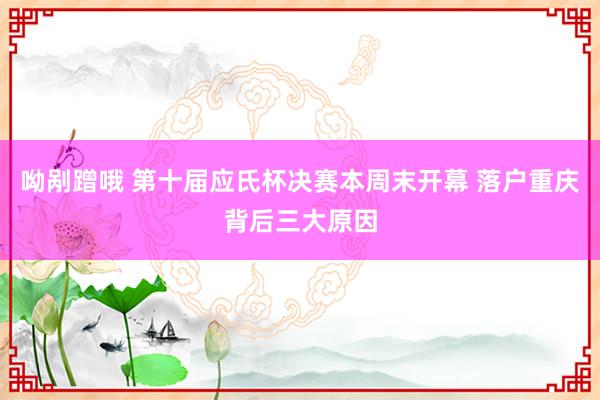 呦剐蹭哦 第十届应氏杯决赛本周末开幕 落户重庆背后三大原因